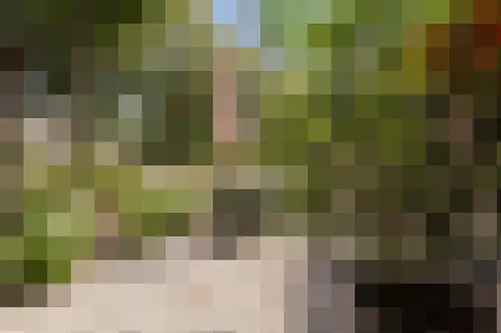 Triosingel 36 Culemborg thumbnail 17