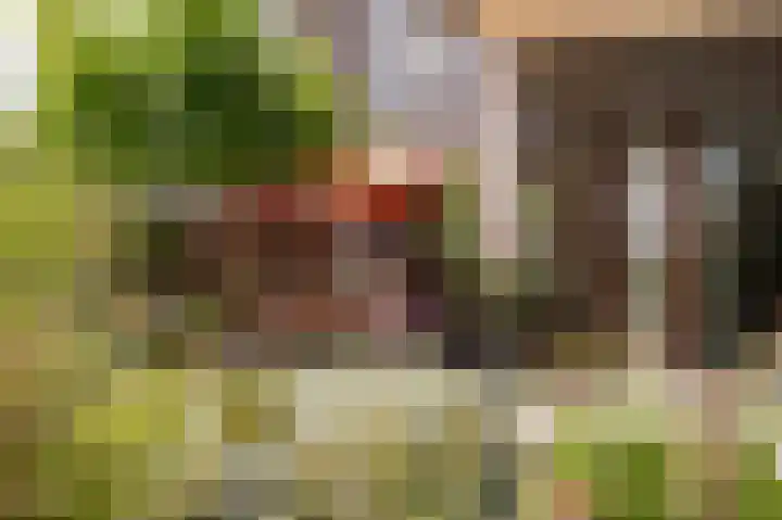 Triosingel 36 Culemborg thumbnail 18