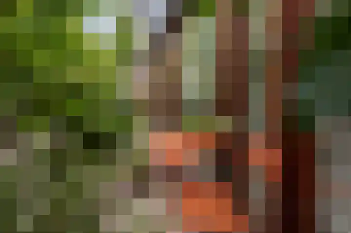 Triosingel 36 Culemborg thumbnail 23