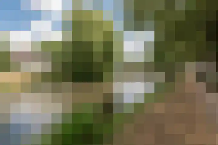 Triosingel 36 Culemborg thumbnail 24