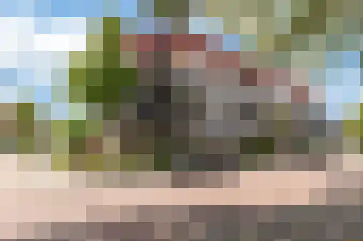 Triosingel 36 Culemborg thumbnail 32