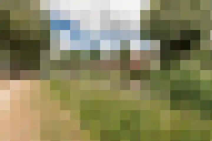 Triosingel 36 Culemborg thumbnail 35