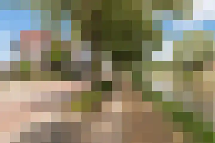 Triosingel 36 Culemborg thumbnail 36