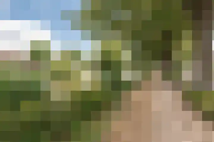Triosingel 36 Culemborg thumbnail 37
