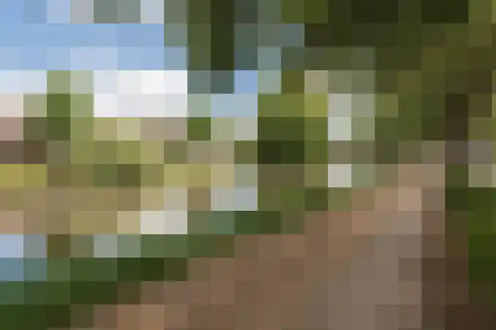 Triosingel 36 Culemborg thumbnail 4