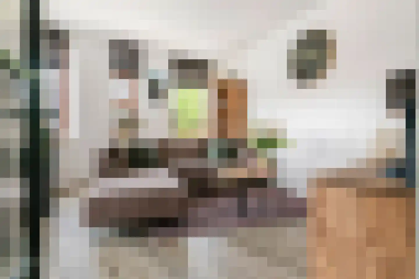 Triosingel 37 b Culemborg thumbnail 6