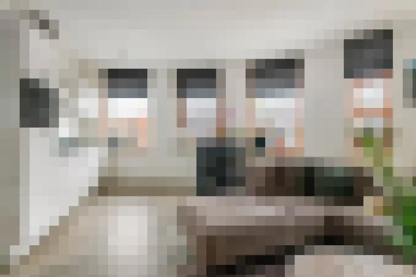 Triosingel 37 b Culemborg thumbnail 7