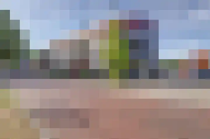 Triosingel 38 c Culemborg