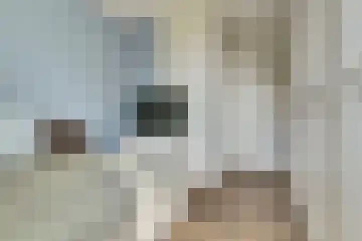 Triosingel 38 c Culemborg thumbnail 14