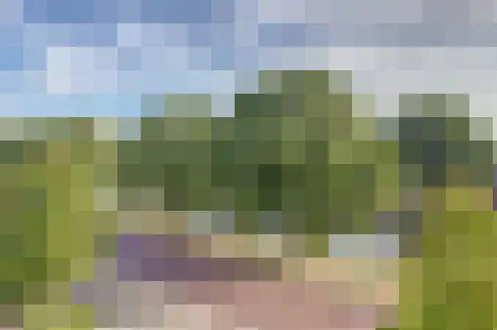 Triosingel 38 c Culemborg thumbnail 23