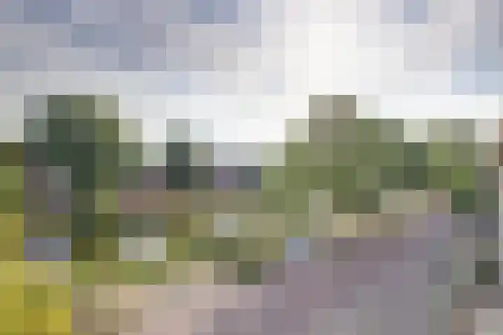 Triosingel 38 c Culemborg thumbnail 24