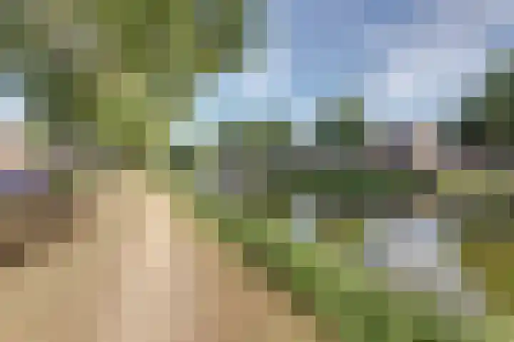 Triosingel 38 c Culemborg thumbnail 25