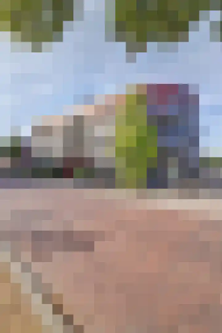Triosingel 38 c Culemborg thumbnail 29