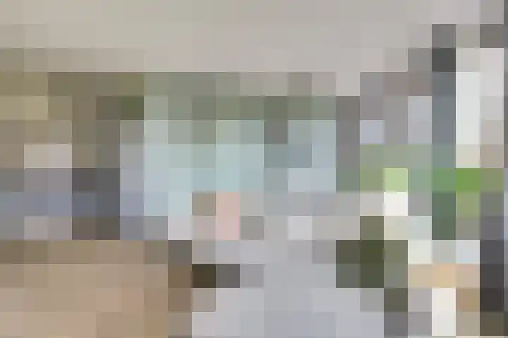 Triosingel 38 c Culemborg thumbnail 6