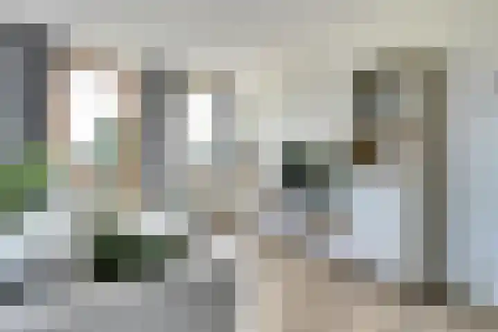 Triosingel 38 c Culemborg thumbnail 7
