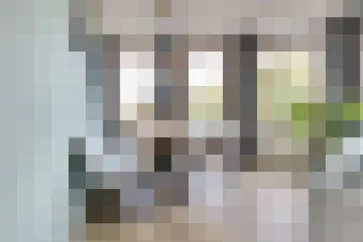 Triosingel 38 c Culemborg thumbnail 9