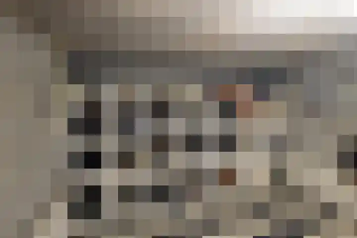 Triosingel 45 Culemborg thumbnail 21