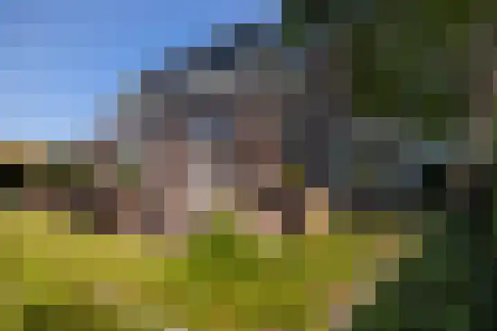 Triosingel 45 Culemborg thumbnail 37