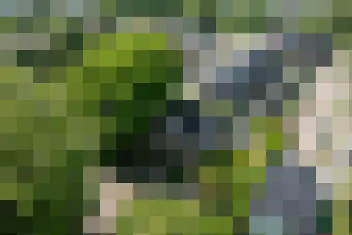 Triosingel 45 Culemborg thumbnail 4