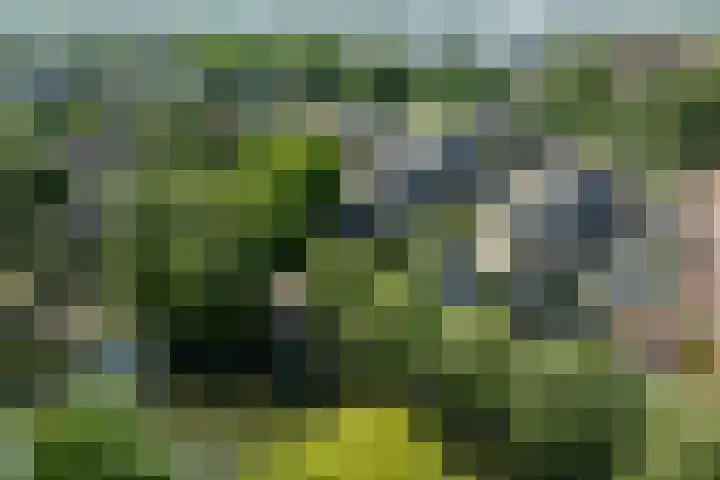 Triosingel 45 Culemborg thumbnail 41