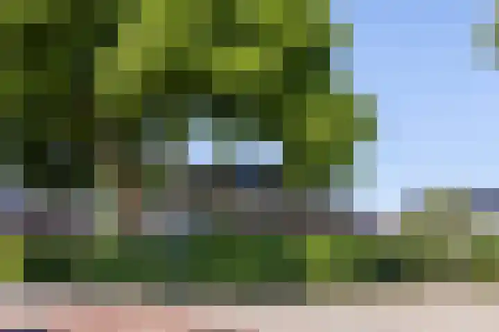 Triosingel 45 Culemborg thumbnail 5