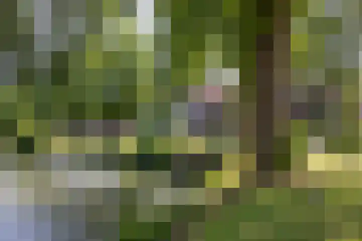 Triosingel 45 Culemborg thumbnail 6