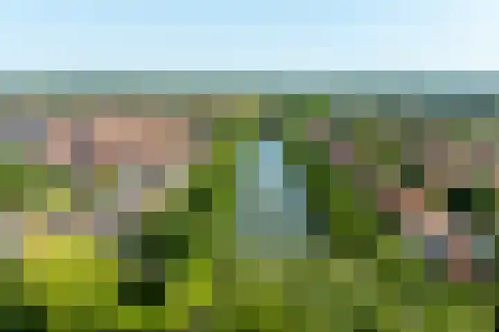 Triosingel 45 Culemborg thumbnail 7