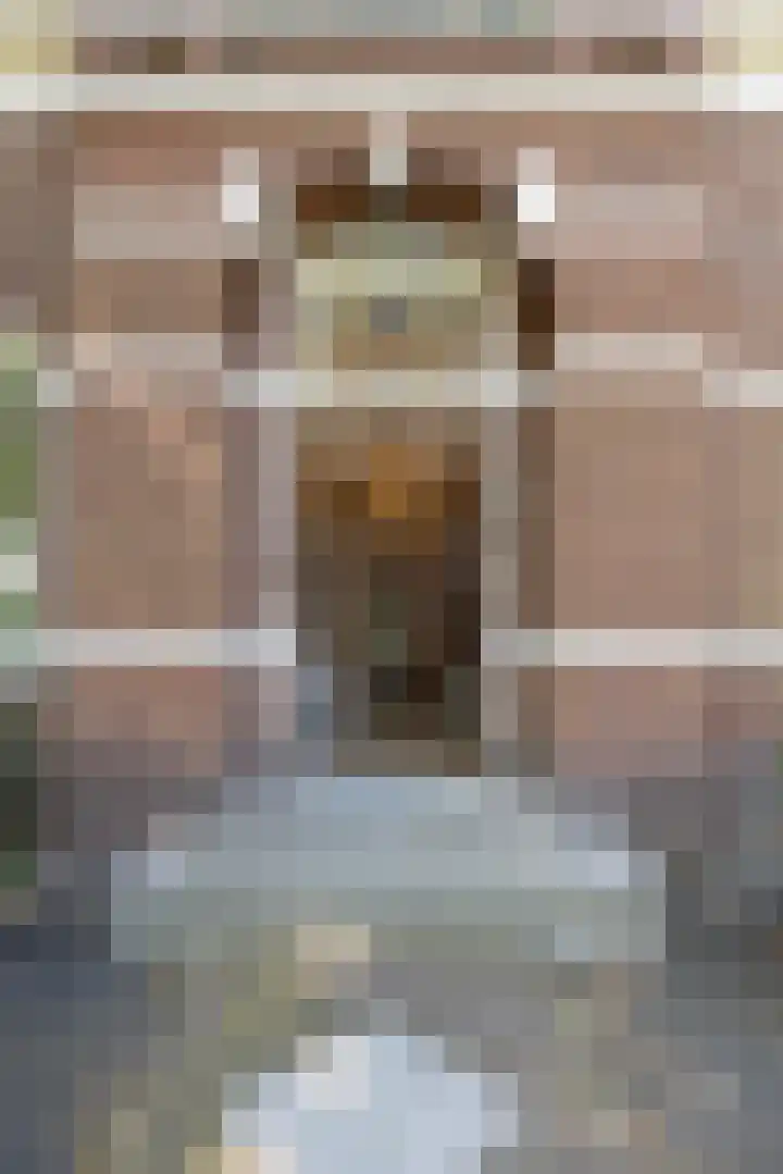 Triosingel 45 Culemborg thumbnail 8