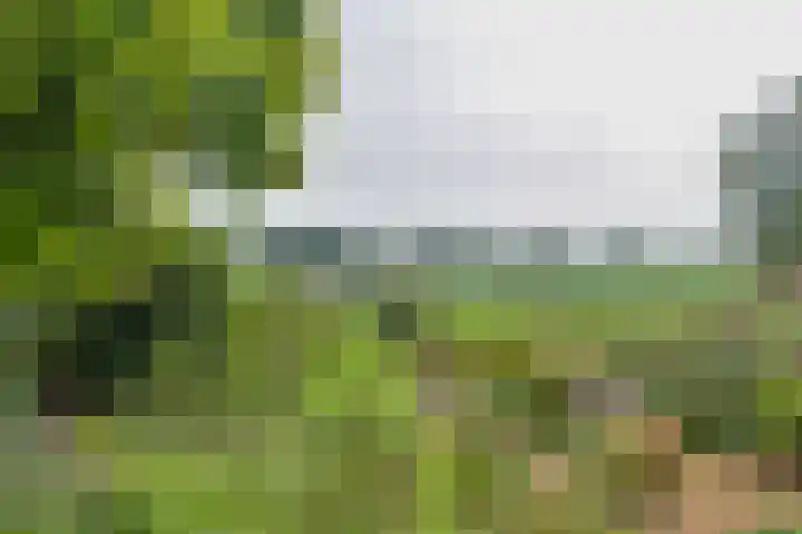 Trip 4 Schalkwijk thumbnail 16
