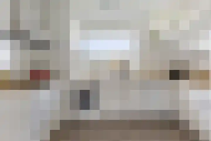 Trip 4 Schalkwijk thumbnail 17