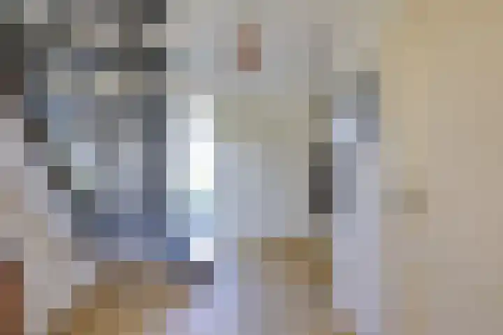 Trip 4 Schalkwijk thumbnail 18