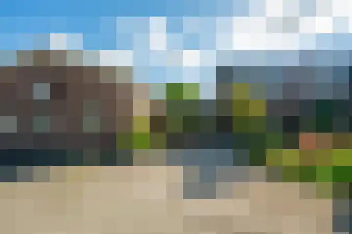 Trip 4 Schalkwijk thumbnail 4