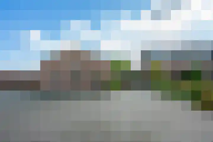 Trip 4 Schalkwijk thumbnail 5