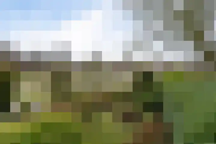 Trip 4 Schalkwijk thumbnail 52