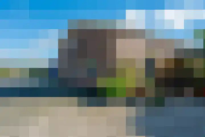 Trip 4 Schalkwijk thumbnail 6