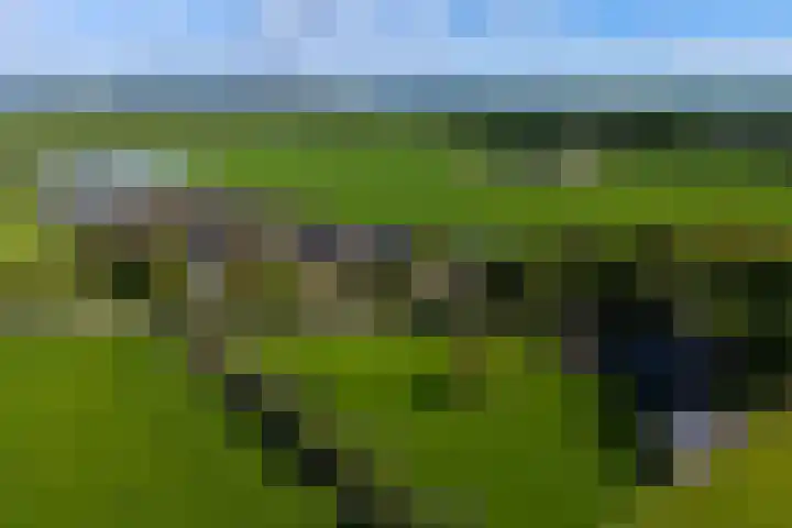 Trip 4 Schalkwijk thumbnail 62