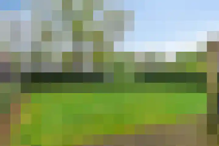 Trip 4 Schalkwijk thumbnail 64