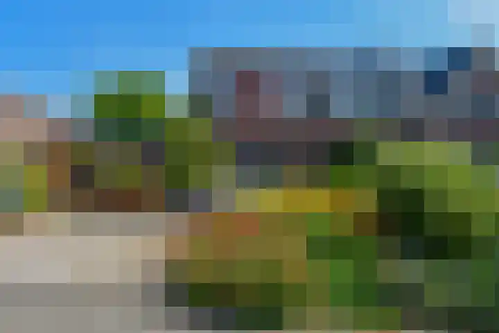 Trip 4 Schalkwijk thumbnail 65