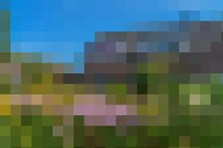 Trip 4 Schalkwijk thumbnail 66