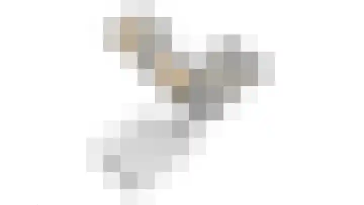 Trip 4 Schalkwijk thumbnail 68