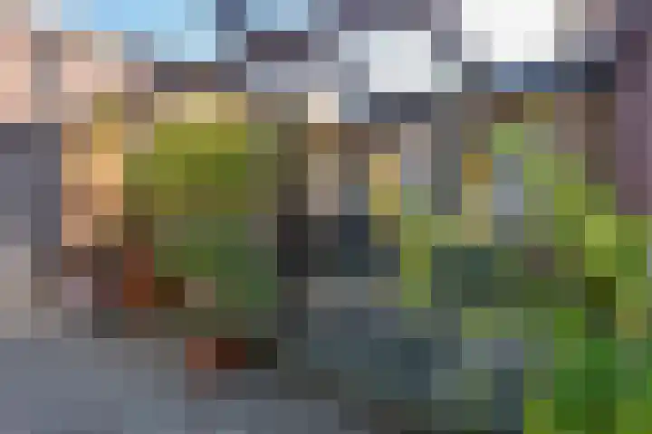 Trip 4 Schalkwijk thumbnail 7
