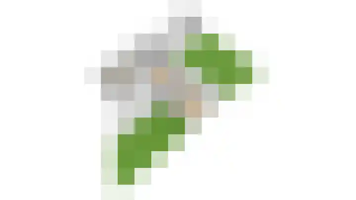 Trip 4 Schalkwijk thumbnail 78