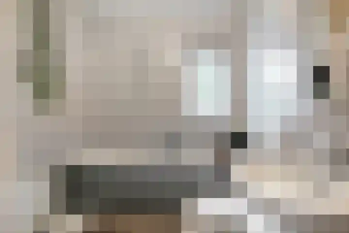 Trip 4 Schalkwijk thumbnail 9