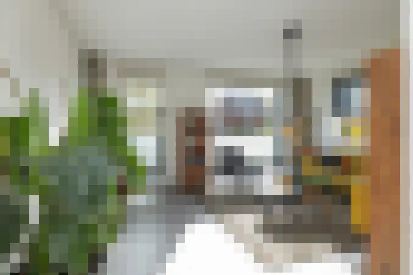 Tripklompen 10 Zuidwolde thumbnail 11