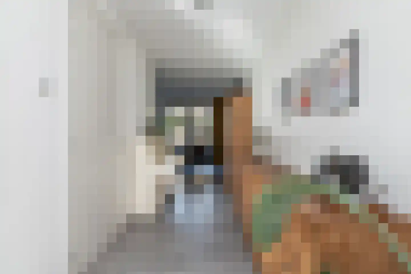 Tripklompen 10 Zuidwolde thumbnail 15