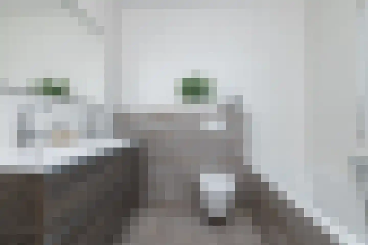 Tripklompen 10 Zuidwolde thumbnail 35