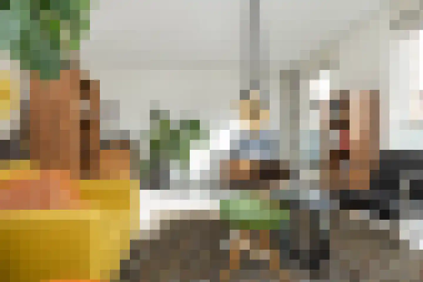 Tripklompen 10 Zuidwolde thumbnail 4