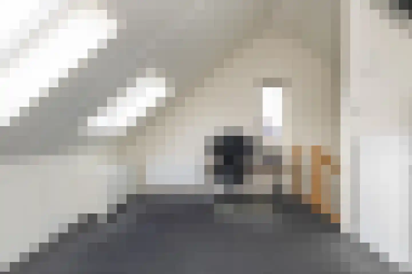 Tripklompen 10 Zuidwolde thumbnail 40