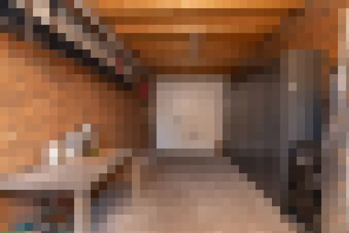 Tripklompen 10 Zuidwolde thumbnail 43