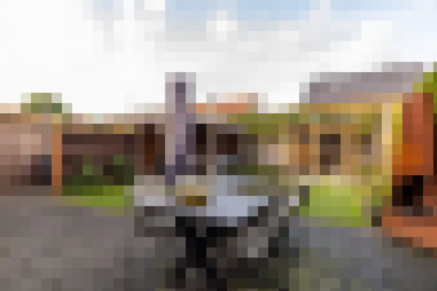 Tripklompen 10 Zuidwolde thumbnail 46